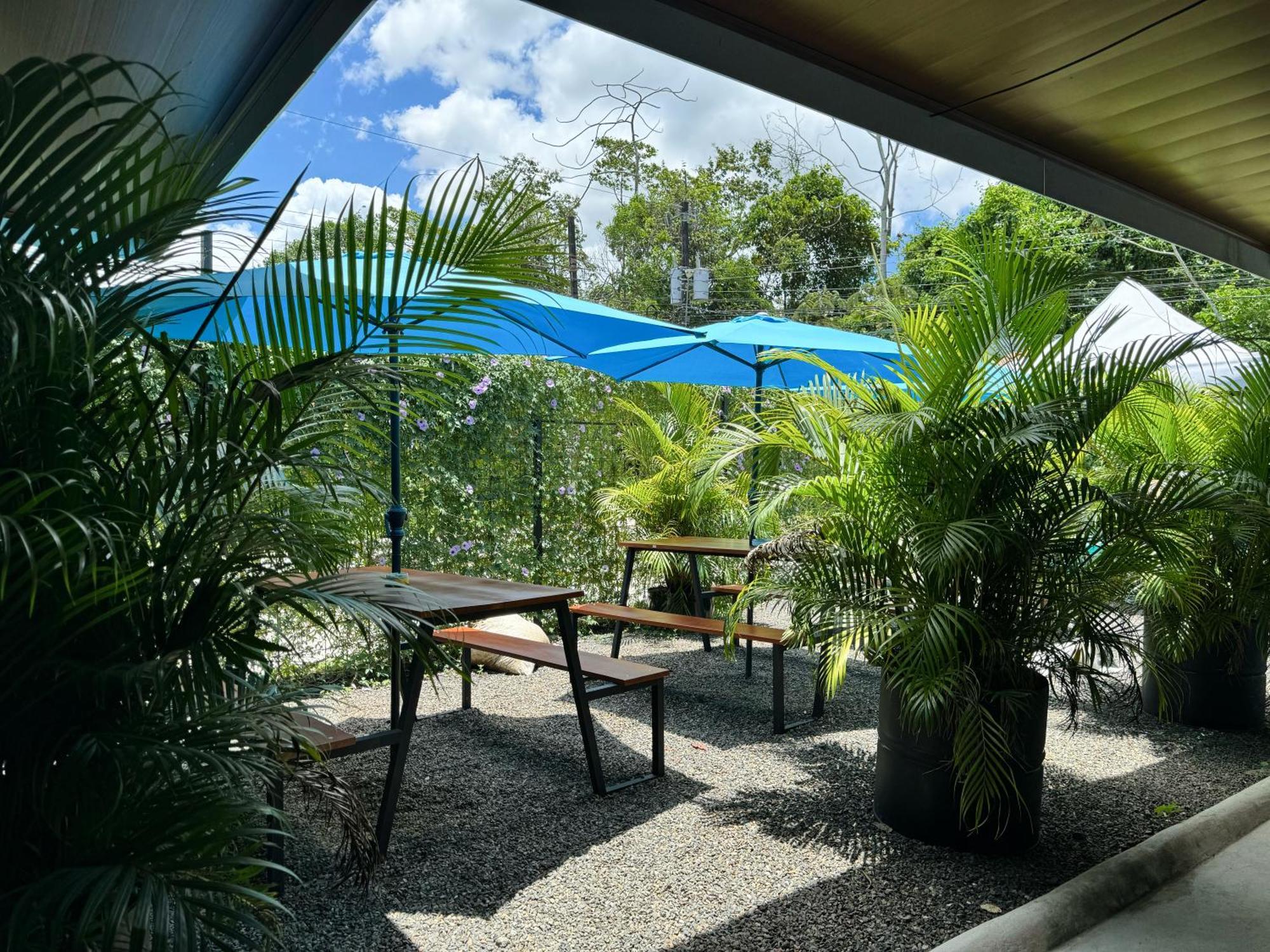 Pura Vibra Hostel La Fortuna Buitenkant foto